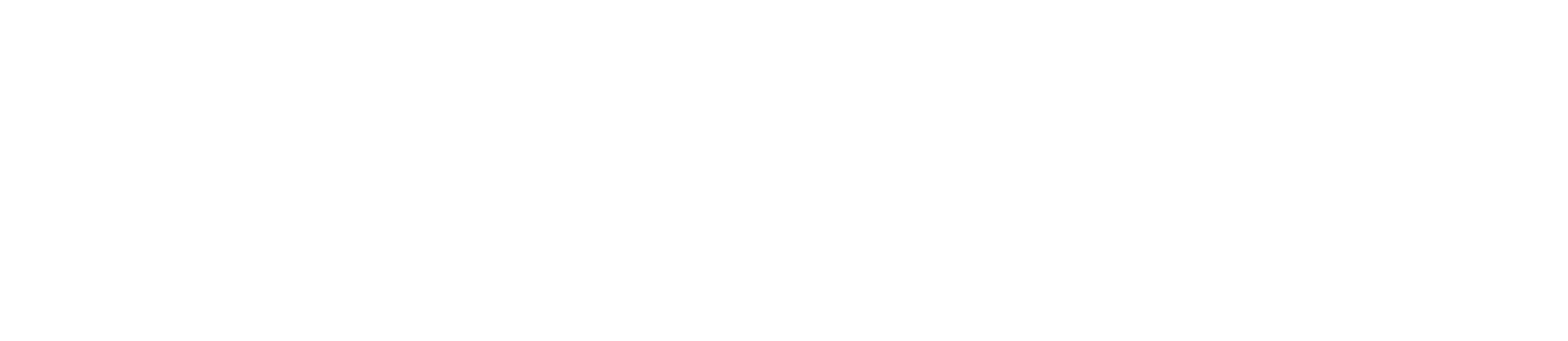 Knockout white logo